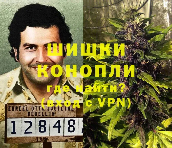 сколько стоит  Беслан  Конопля OG Kush 